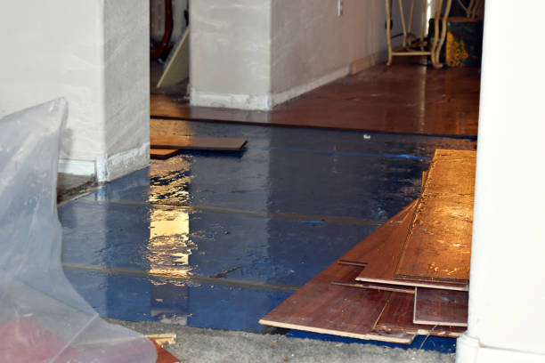 Professional Basement Flood Cleanup technician working in Algonac, MI