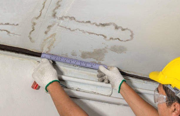 Reliable Basement Flood Cleanup contractor in Algonac, MI by Aqua Guard Water Damage